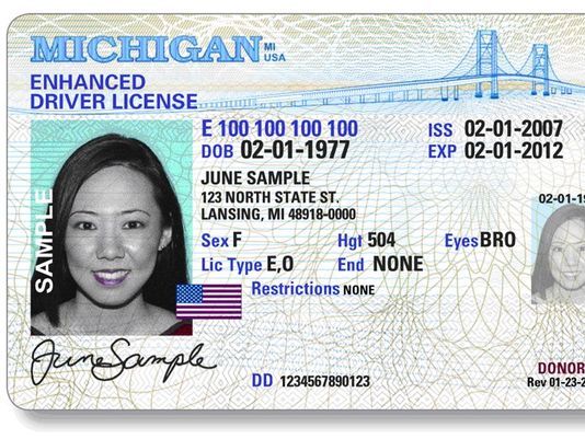 michigan drivers license check